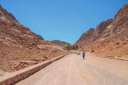road to the monastery of St. Catherine, against the background of mountains and blue sky, green olive trees, pilgrims and visitors in the background, South Sinai, Egyptの写真素材