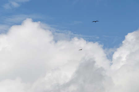 blue sky, white clouds, in the tropics