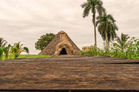 Indian Residence, reconstruction, Guam, Cuba, on the river, under the palm treesの写真素材