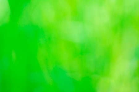 defocused shot of green grass in the daylight, background, abstractionの写真素材