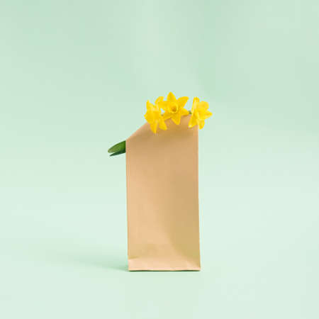 Bouquet of hyacinths flowers in a brown paper bag on a pastel light green background. Minimalist concept. Square with copy space.の写真素材