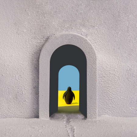 a penguin in the passage between cold and warm climates. The idea of global warming. Minimal...