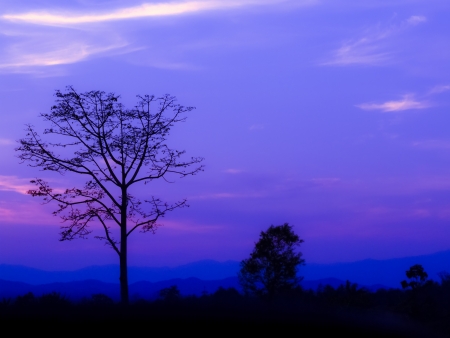 Sunset scenery before darkness comes over the hillside, Narn Thailand の写真素材