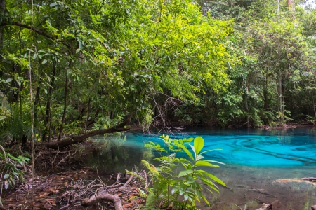 A blue lagoon in a mountain in Krabi, Thailand の写真素材
