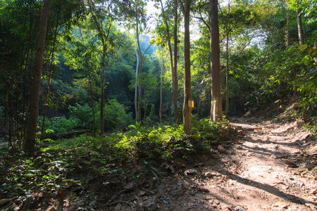 Walkway in to Sam Lan Mountain , Thailand の写真素材