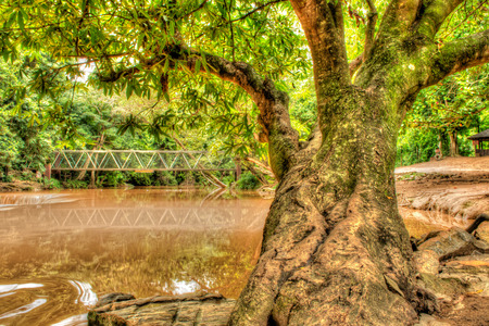 Jed-Sowl-Noi waterfall during rainy season in Thailand.の写真素材