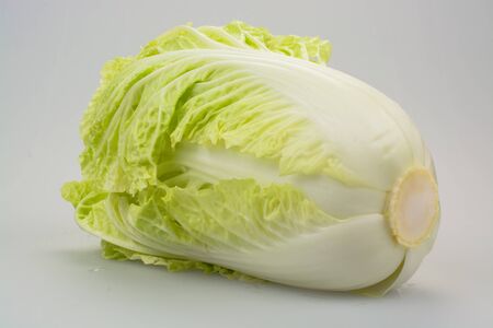 White cabbage against white background.の写真素材