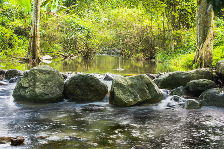 Background Picture of trees and water flows through rocky path of a stream at the entrance to...