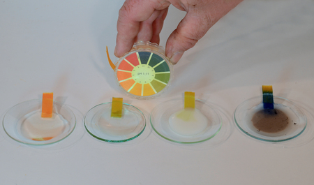 pH grades of some daily objects shown with use of indicator paper. From left to right: Vinegar, rain water, milk and ashes. Compare to comparision table.の写真素材