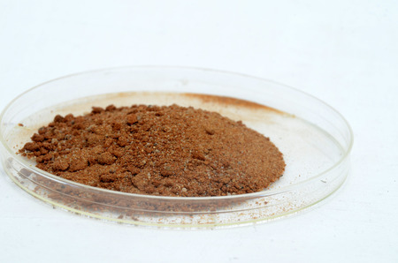 Bog iron right from the mine. This ore contains 7-9% iron.