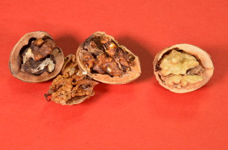 Closeup on opened walnuts attached by mould fungus, causing a high content of Aflatoxn. To the right...