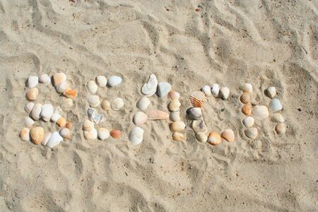 Beach Shellsの写真素材