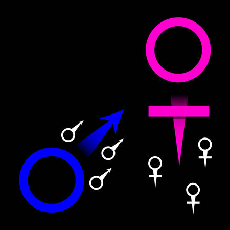 Male and Female Symbolsのイラスト素材