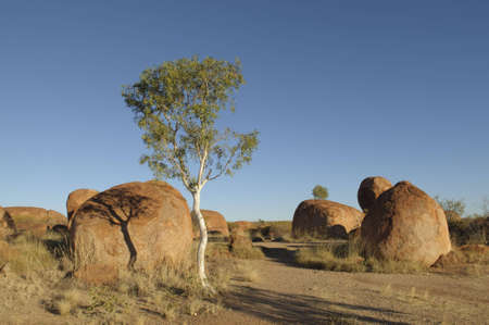 Devils Marbles in Australians Northern Territory north of Alice Springsの写真素材