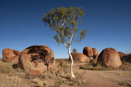 Hiking trail through Devils Marbles in Northern Territoriesの写真素材