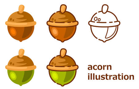 Brown acorn and green acorn illustrationのイラスト素材