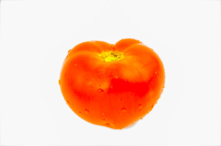 Juicy Tomato Isolated On White Backgroundの写真素材