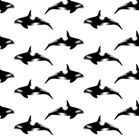 Killer whale seamless patternのイラスト素材