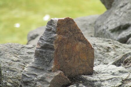 A stone beside the pondの写真素材
