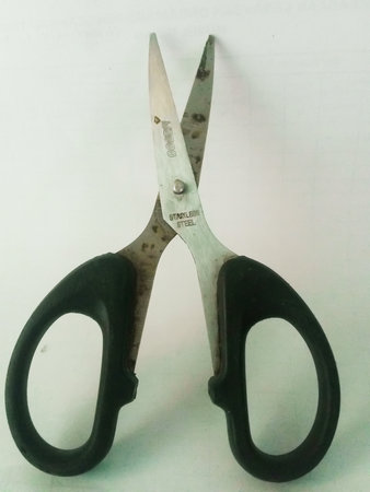 Old scissors on a white background. Close-up of scissors.の写真素材