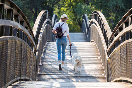 Shot of attractive young amateur photograph woman walking with her dog crossing over a bridge in the...