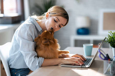Shot of cute lovely dog kissing her smiling owner while she working with laptop in the kitchen at home.の写真素材
