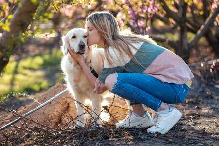 Shot of beautiful woman stroking and pampering her lovely golden retriever dog sitting on the floor in a cherry field in springtime.の写真素材