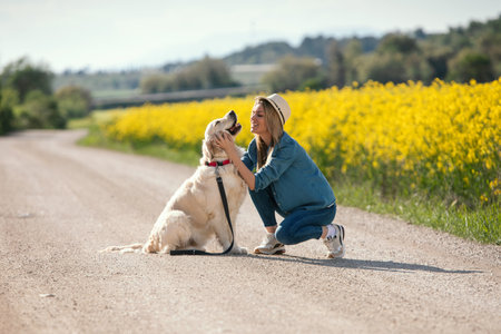 Shot of attractive young woman caring and playing with her beautiful golden retriever dog in a rapessed field.の写真素材