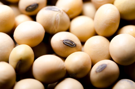 Soybean oil is also used to make soy milk