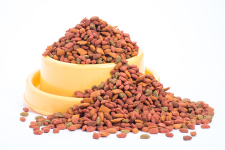 dry food cat from a bright yellow bowl  isolated white backgroundの写真素材