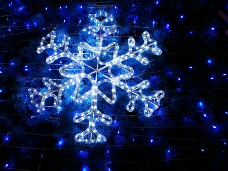 Beautiful Snowflakes and XMas lights on Christmas treeの素材