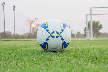 Soccer ball on the green grassの写真素材