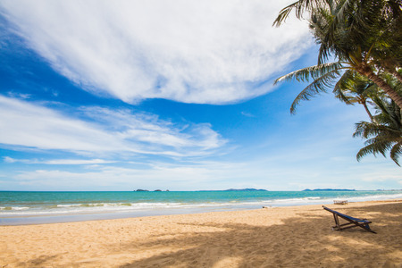 Beach with coconut tree in blue skyの写真素材