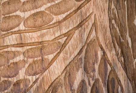 Texture of old wood  backgroundの写真素材