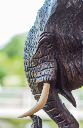 ancient wood carving elephantsの写真素材