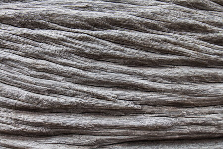 Old wood の写真素材