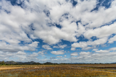 Clouds on the blue sky in cloudy daysの写真素材