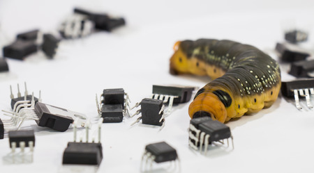 Malicious computer worm that secretly ruining your computer の写真素材