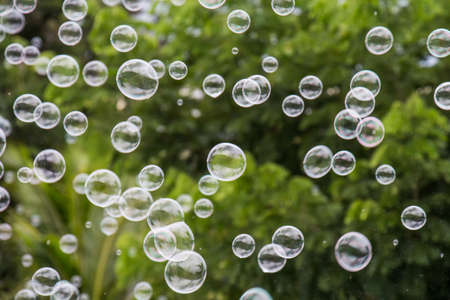 Beautiful soap bubble abstract backgroundsの写真素材