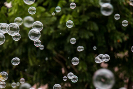 Beautiful soap bubble abstract backgroundsの写真素材