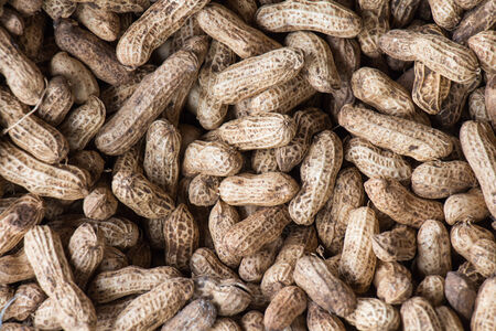 background showing lots of peanutsの写真素材