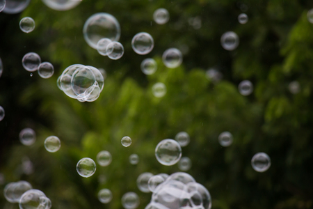 Beautiful abstract soap bubble backgroundの写真素材