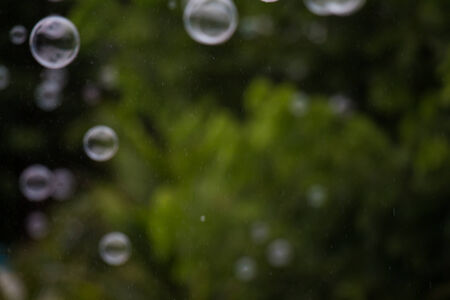 Beautiful abstract soap bubble backgroundの写真素材