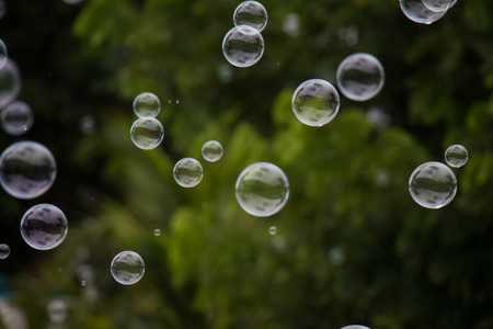 Beautiful abstract soap bubble backgroundの写真素材