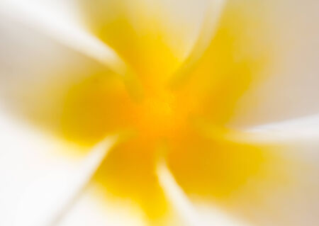 Blur abstract backgroundの写真素材