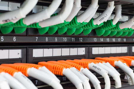 Local area network switch (LAN) 