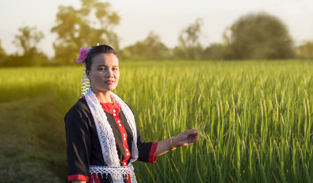 Thailand beautiful woman among green Rice ;Tribal Thailand Yoiの写真素材