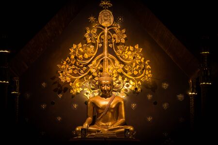 main Buddha statue ,Thailandの写真素材