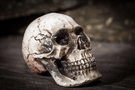 Human skull on wood background.の写真素材