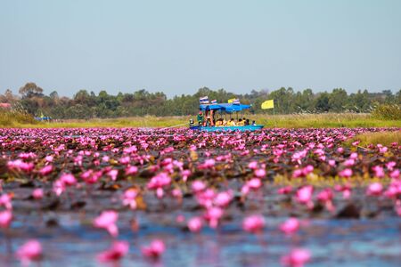 Worlds Strangest Lakes talay bua dank THAILAND UDONTHANI - Dec 28 , 2014 : Tourists on boat at "talay bua dang" 1 in 15 lakes strange world CNN's ratingsのeditorial素材